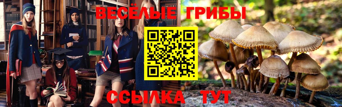 Псилоцибиновые грибы MAGIC MUSHROOMS Мурманск